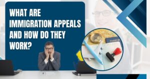 Immigration Appeals - What are immigration appeals and how do they work_ - Warren Law Firm