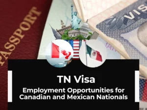 TN Visas - Warren Law Firm