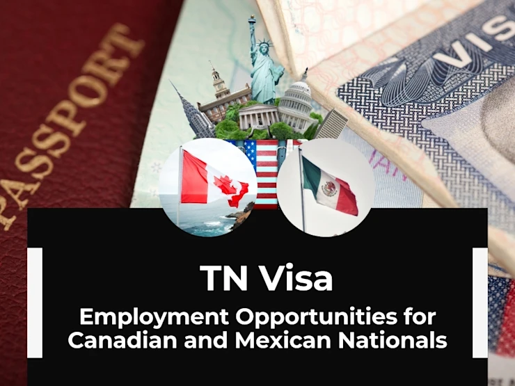 TN Visas - Warren Law Firm