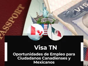 visa tn - Warren Law Firm