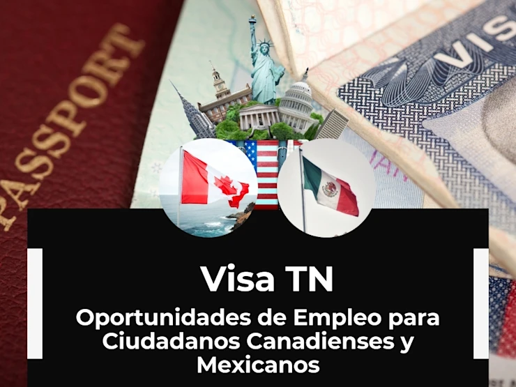 visa tn - Warren Law Firm